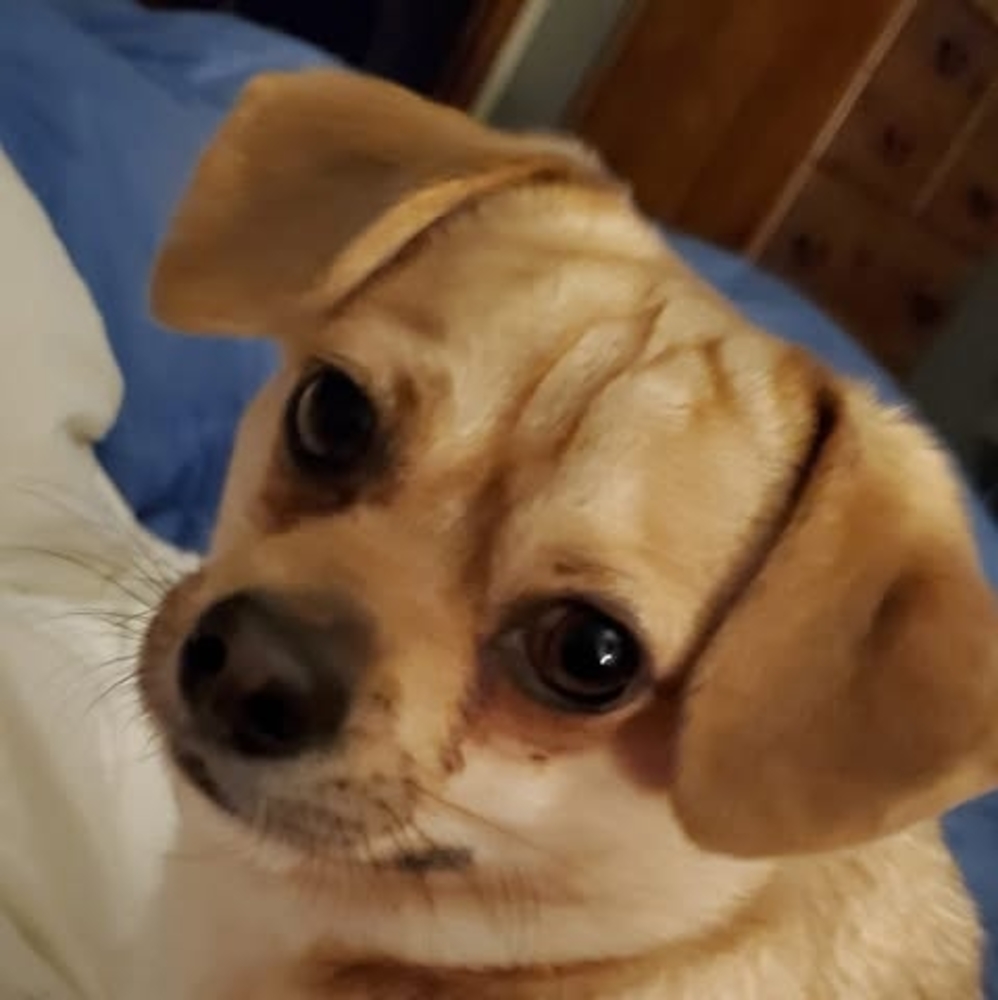 Meet your Posher, Earline